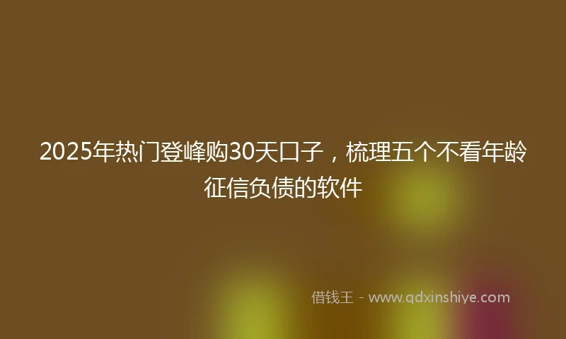 2025年热门登峰购30天口子,梳理五个不看年龄征信负债的软件