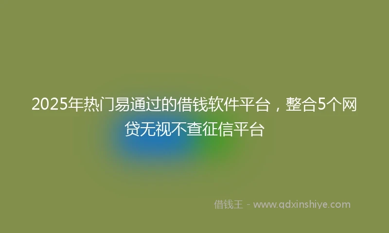2025年热门易通过的借钱软件平台，整合5个网贷无视不查征信平台
