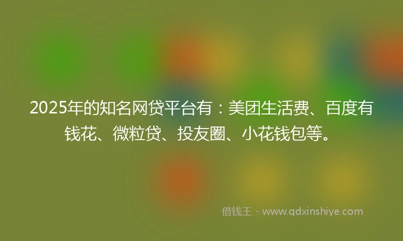 2025年的知名网贷平台有：美团生活费、百度有钱花、微粒贷、投友圈、小花钱包等。