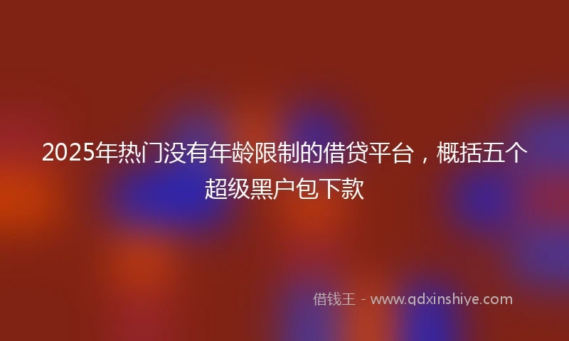 2025年热门没有年龄限制的借贷平台，概括五个超级黑户包下款