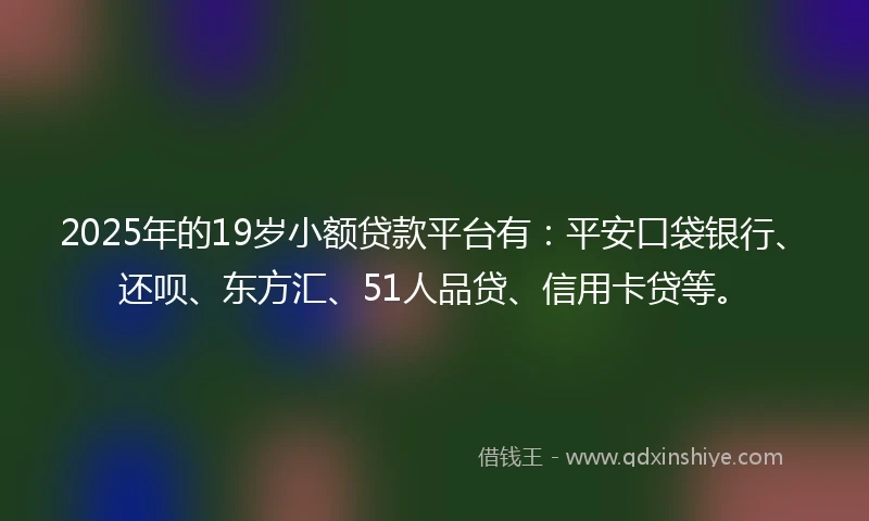 2025年的19岁小额贷款平台有：平安口袋银行、还呗、东方汇、51人品贷、信用卡贷等。