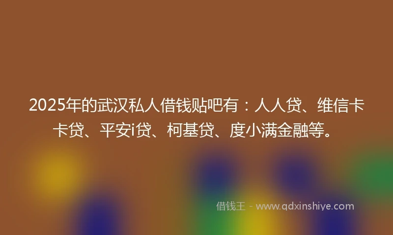 2025年的武汉私人借钱贴吧有：人人贷、维信卡卡贷、平安i贷、柯基贷、度小满金融等。