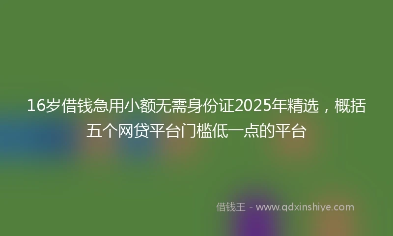 16岁借钱急用小额无需身份证2025年精选，概括五个网贷平台门槛低一点的平台