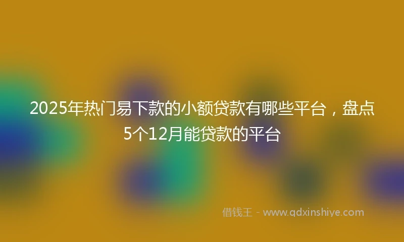 2025年热门易下款的小额贷款有哪些平台，盘点5个12月能贷款的平台