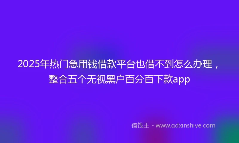 2025年热门急用钱借款平台也借不到怎么办理，整合五个无视黑户百分百下款app