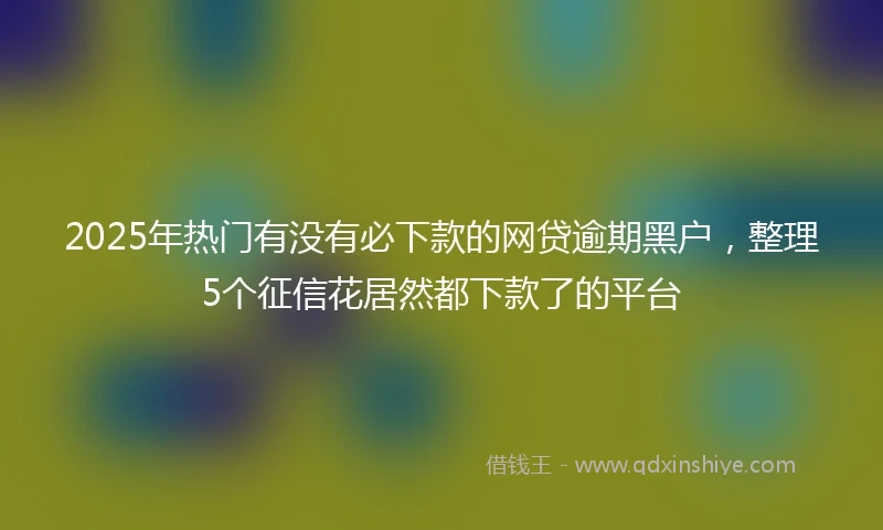 2025年热门有没有必下款的网贷逾期黑户，整理5个征信花居然都下款了的平台