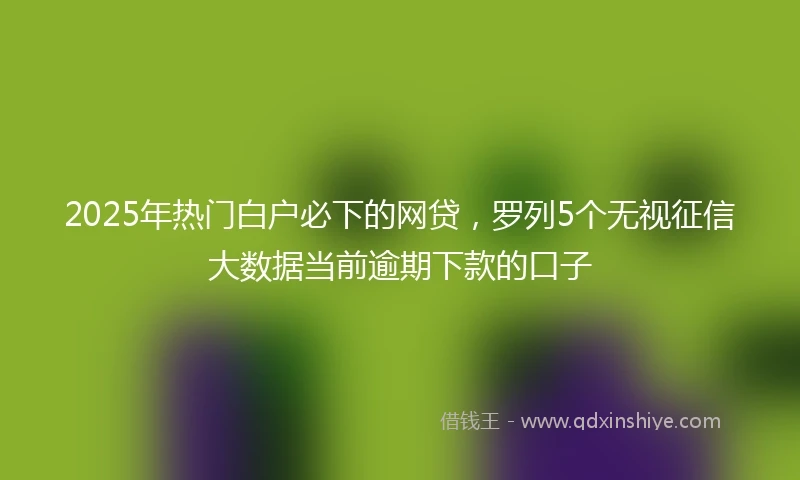 2025年热门白户必下的网贷，罗列5个无视征信大数据当前逾期下款的口子
