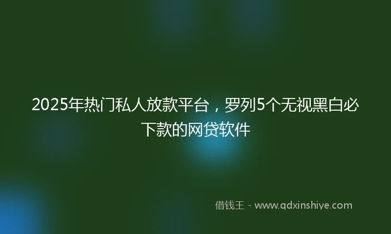 2025年热门私人放款平台,罗列5个无视黑白必下款的网贷软件