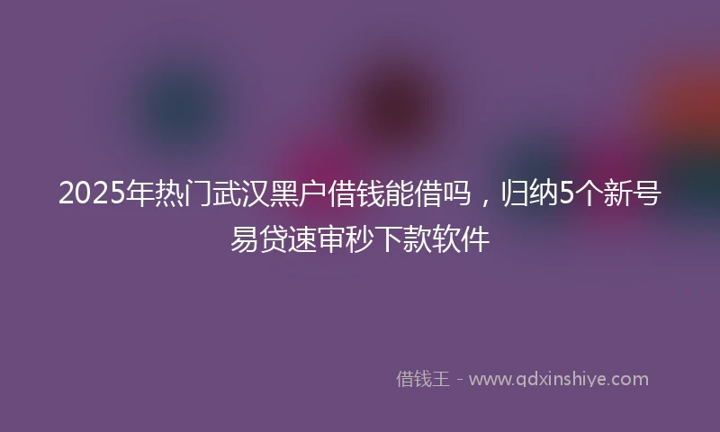 2025年热门武汉黑户借钱能借吗，归纳5个新号易贷速审秒下款软件
