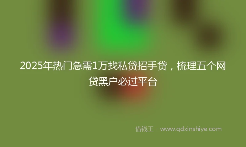 2025年热门急需1万找私贷招手贷，梳理五个网贷黑户必过平台