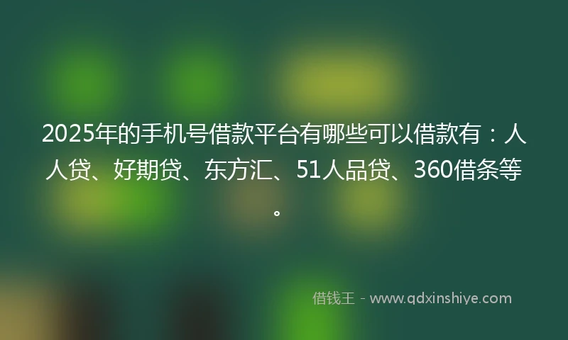 2025年的手机号借款平台有哪些可以借款有：人人贷、好期贷、东方汇、51人品贷、360借条等。