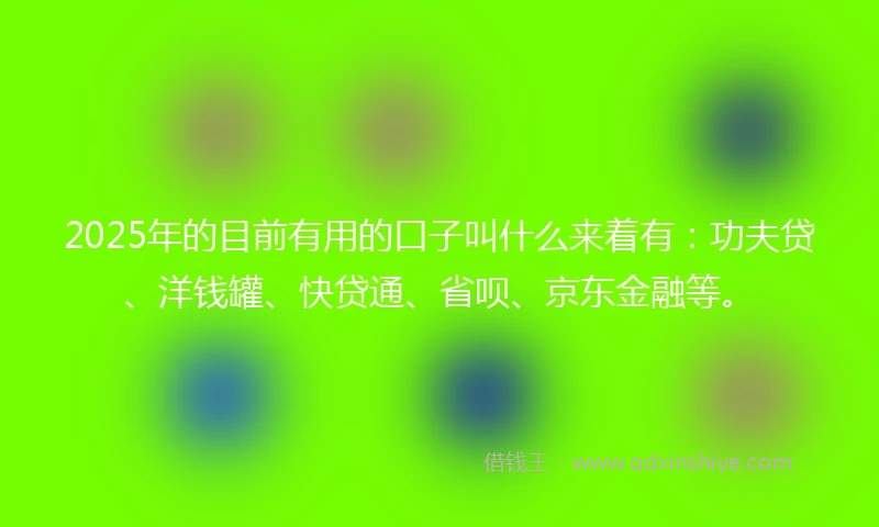 2025年的目前有用的口子叫什么来着有：功夫贷、洋钱罐、快贷通、省呗、京东金融等。