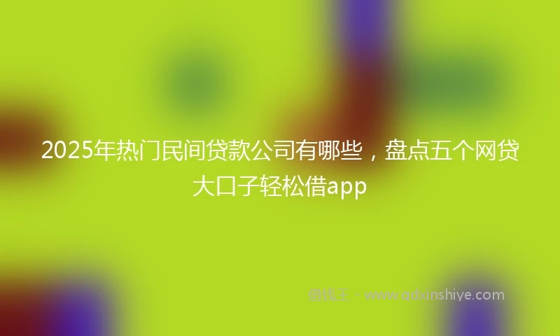 2025年热门民间贷款公司有哪些，盘点五个网贷大口子轻松借app