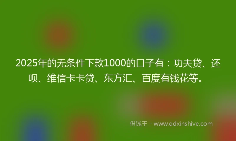 2025年的无条件下款1000的口子有：功夫贷、还呗、维信卡卡贷、东方汇、百度有钱花等。