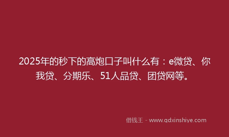 2025年的秒下的高炮口子叫什么有：e微贷、你我贷、分期乐、51人品贷、团贷网等。