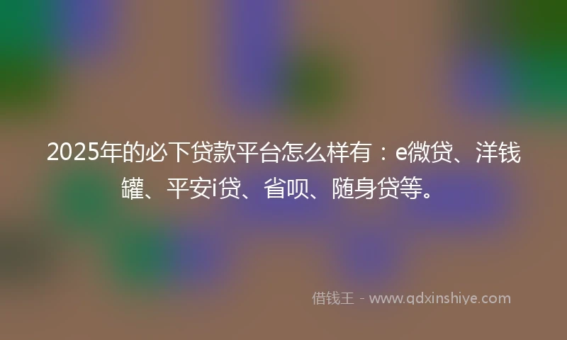 2025年的必下贷款平台怎么样有：e微贷、洋钱罐、平安i贷、省呗、随身贷等。