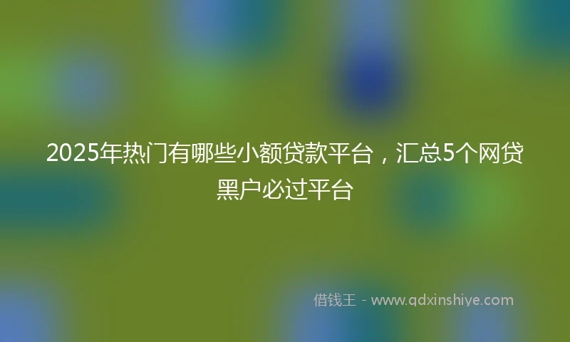 2025年热门有哪些小额贷款平台，汇总5个网贷黑户必过平台