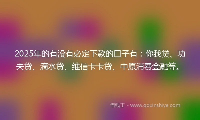 2025年的有没有必定下款的口子有：你我贷、功夫贷、滴水贷、维信卡卡贷、中原消费金融等。