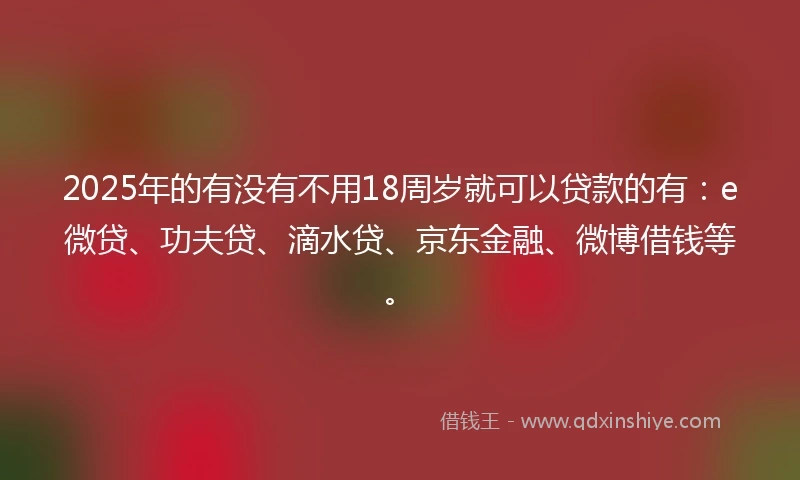 2025年的有没有不用18周岁就可以贷款的有：e微贷、功夫贷、滴水贷、京东金融、微博借钱等。