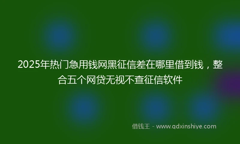2025年热门急用钱网黑征信差在哪里借到钱，整合五个网贷无视不查征信软件
