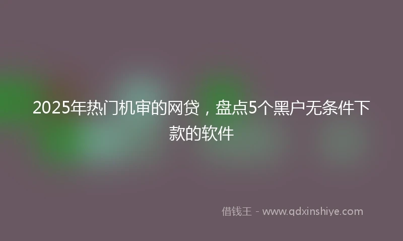 2025年热门机审的网贷，盘点5个黑户无条件下款的软件