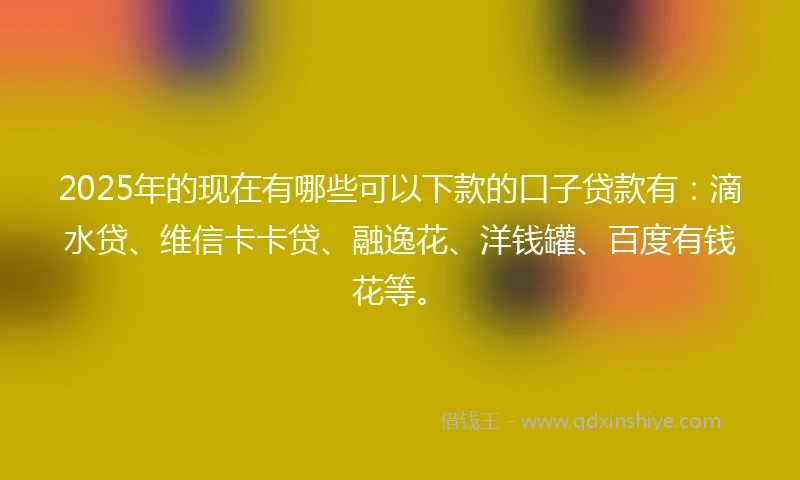 2025年的现在有哪些可以下款的口子贷款有：滴水贷、维信卡卡贷、融逸花、洋钱罐、百度有钱花等。