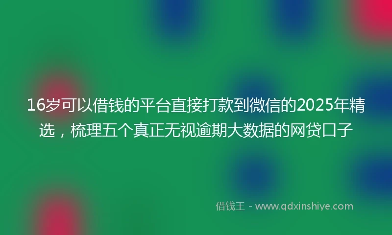 16岁可以借钱的平台直接打款到微信的2025年精选，梳理五个真正无视逾期大数据的网贷口子
