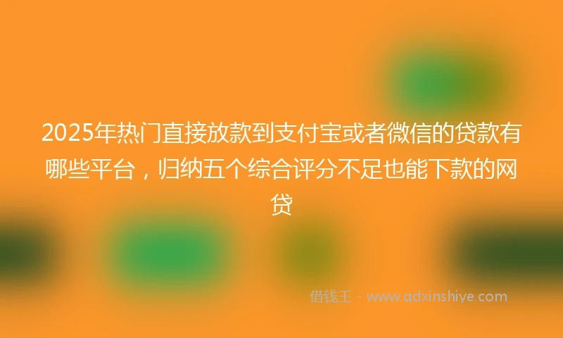 2025年热门直接放款到支付宝或者微信的贷款有哪些平台，归纳五个综合评分不足也能下款的网贷