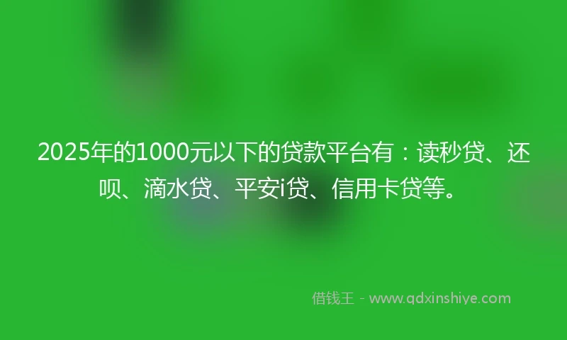 2025年的1000元以下的贷款平台有：读秒贷、还呗、滴水贷、平安i贷、信用卡贷等。