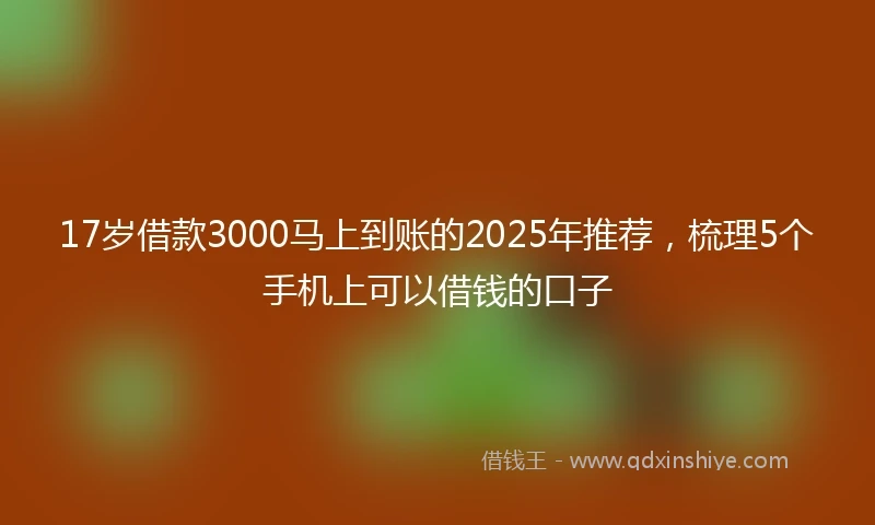 17岁借款3000马上到账的2025年推荐，梳理5个手机上可以借钱的口子