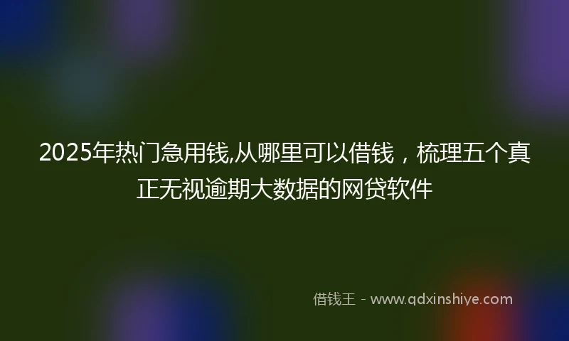 2025年热门急用钱,从哪里可以借钱，梳理五个真正无视逾期大数据的网贷软件