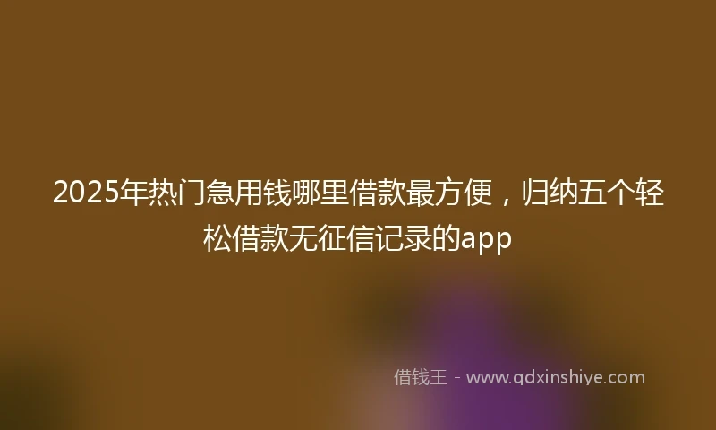 2025年热门急用钱哪里借款最方便，归纳五个轻松借款无征信记录的app