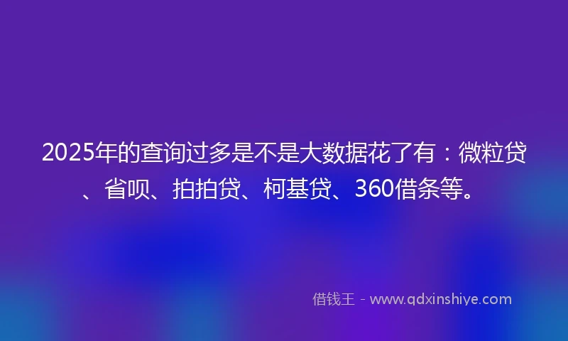 2025年的查询过多是不是大数据花了有：微粒贷、省呗、拍拍贷、柯基贷、360借条等。