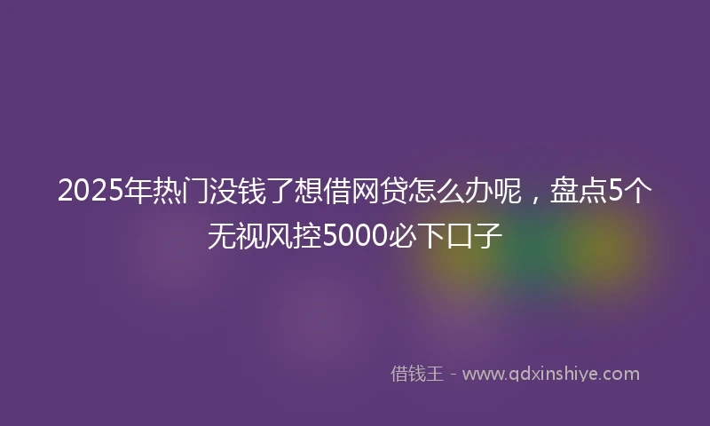 2025年热门没钱了想借网贷怎么办呢，盘点5个无视风控5000必下口子