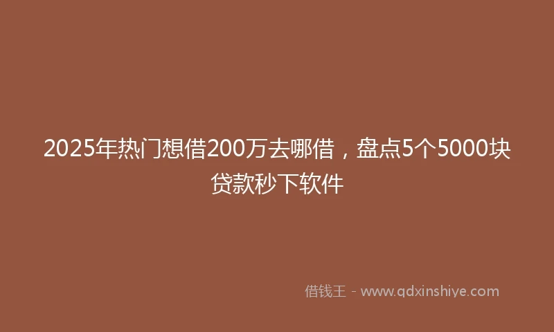 2025年热门想借200万去哪借，盘点5个5000块贷款秒下软件