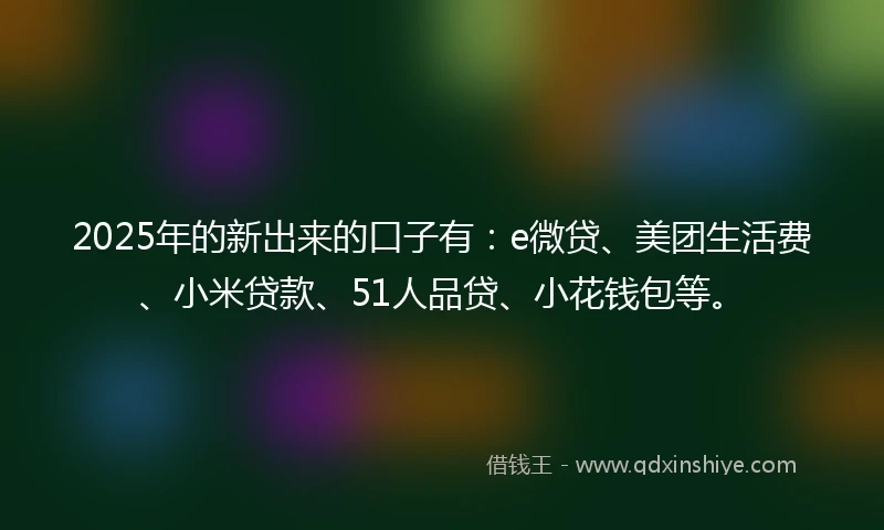 2025年的新出来的口子有：e微贷、美团生活费、小米贷款、51人品贷、小花钱包等。