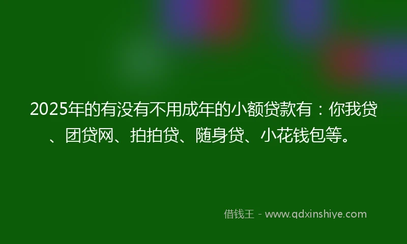 2025年的有没有不用成年的小额贷款有：你我贷、团贷网、拍拍贷、随身贷、小花钱包等。