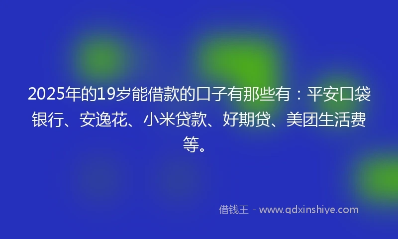 2025年的19岁能借款的口子有那些有：平安口袋银行、安逸花、小米贷款、好期贷、美团生活费等。