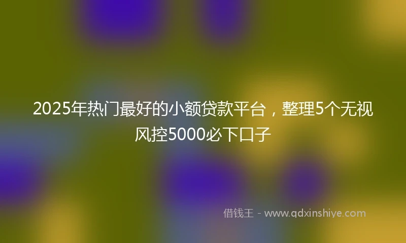 2025年热门最好的小额贷款平台，整理5个无视风控5000必下口子