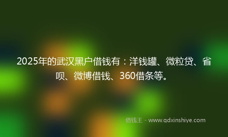 2025年的武汉黑户借钱有：洋钱罐、微粒贷、省呗、微博借钱、360借条等。