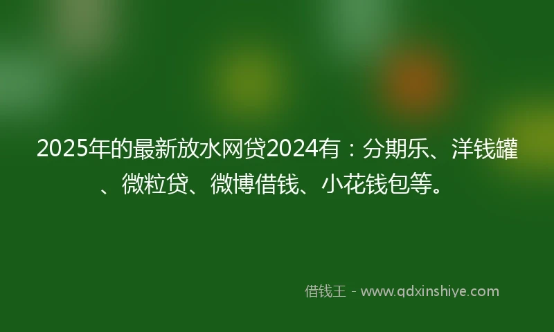 2025年的最新放水网贷2024有：分期乐、洋钱罐、微粒贷、微博借钱、小花钱包等。