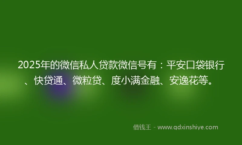 2025年的微信私人贷款微信号有：平安口袋银行、快贷通、微粒贷、度小满金融、安逸花等。