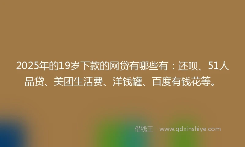 2025年的19岁下款的网贷有哪些有：还呗、51人品贷、美团生活费、洋钱罐、百度有钱花等。