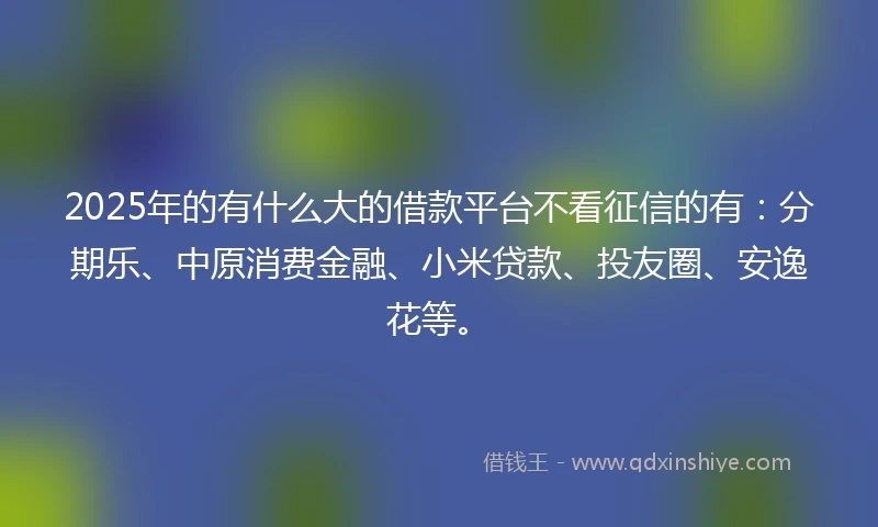 2025年的有什么大的借款平台不看征信的有：分期乐、中原消费金融、小米贷款、投友圈、安逸花等。