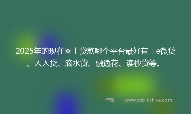 2025年的现在网上贷款哪个平台最好有：e微贷、人人贷、滴水贷、融逸花、读秒贷等。