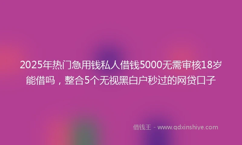 2025年热门急用钱私人借钱5000无需审核18岁能借吗，整合5个无视黑白户秒过的网贷口子