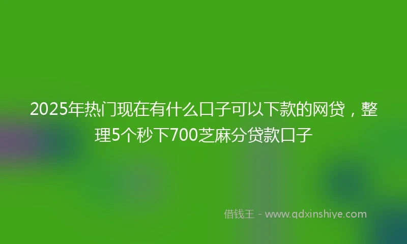 2025年热门现在有什么口子可以下款的网贷，整理5个秒下700芝麻分贷款口子