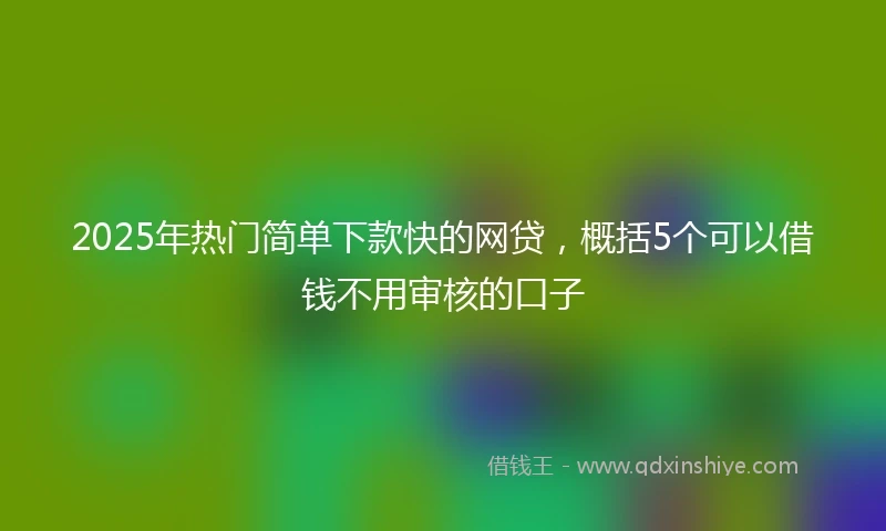 2025年热门简单下款快的网贷，概括5个可以借钱不用审核的口子