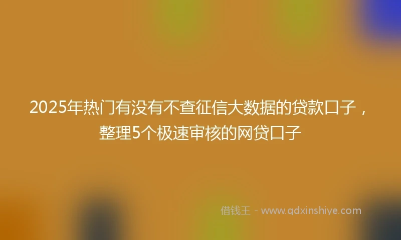 2025年热门有没有不查征信大数据的贷款口子，整理5个极速审核的网贷口子