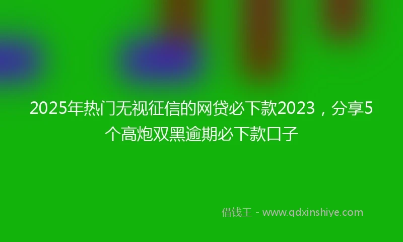 2025年热门无视征信的网贷必下款2023，分享5个高炮双黑逾期必下款口子